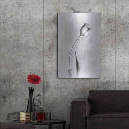 Luxe Metal Art 'Soft Tulips I' by Debra Van Swearingen, Metal Wall Art,24x36