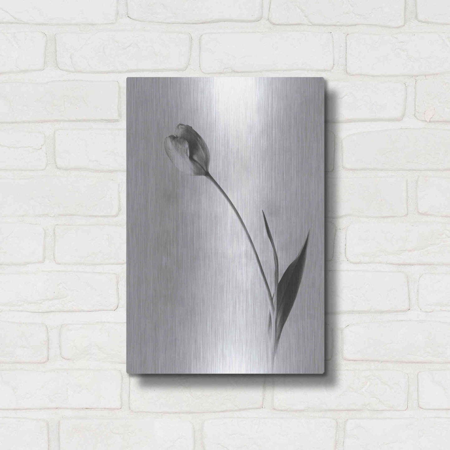 Luxe Metal Art 'Soft Tulips II' by Debra Van Swearingen, Metal Wall Art,12x16