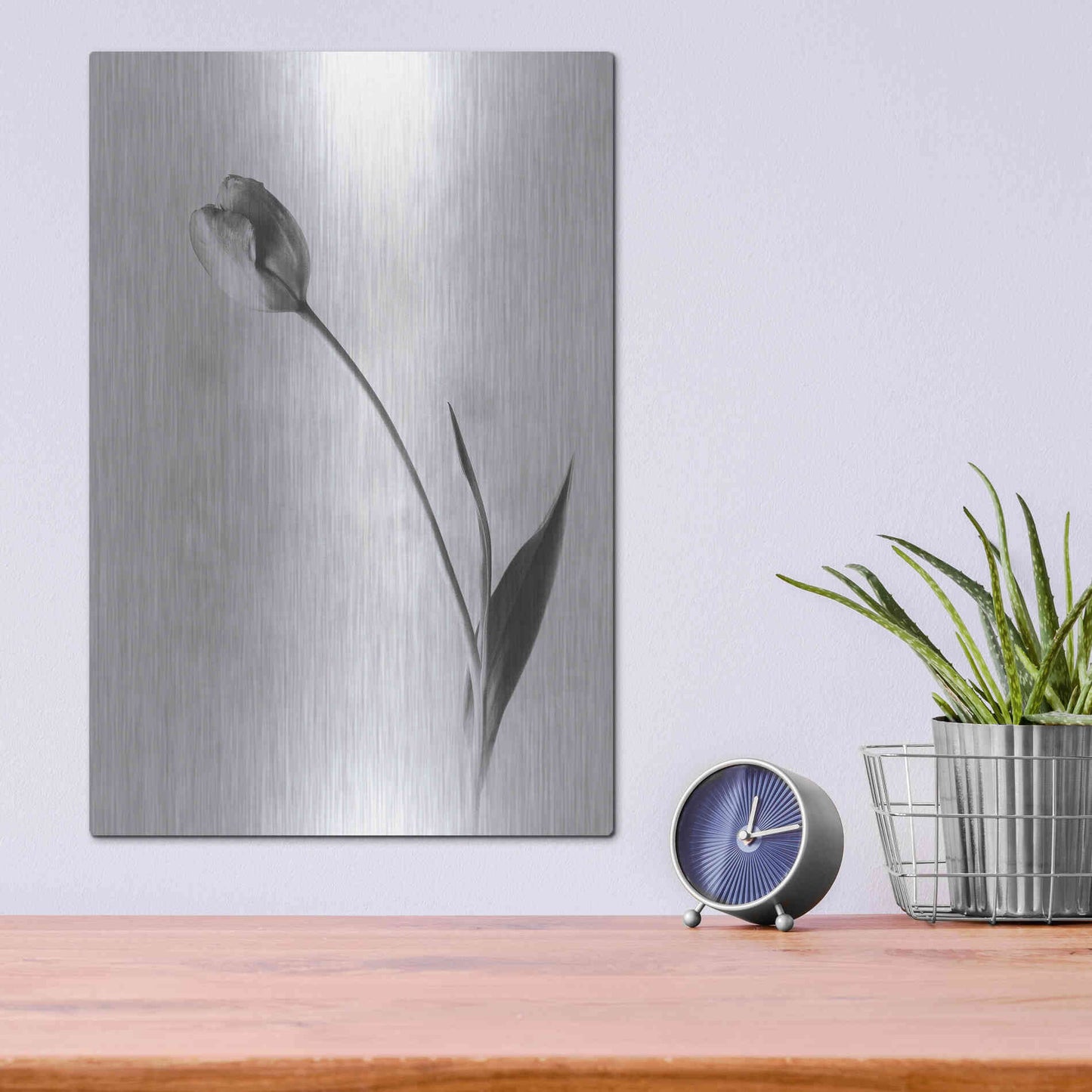 Luxe Metal Art 'Soft Tulips II' by Debra Van Swearingen, Metal Wall Art,12x16