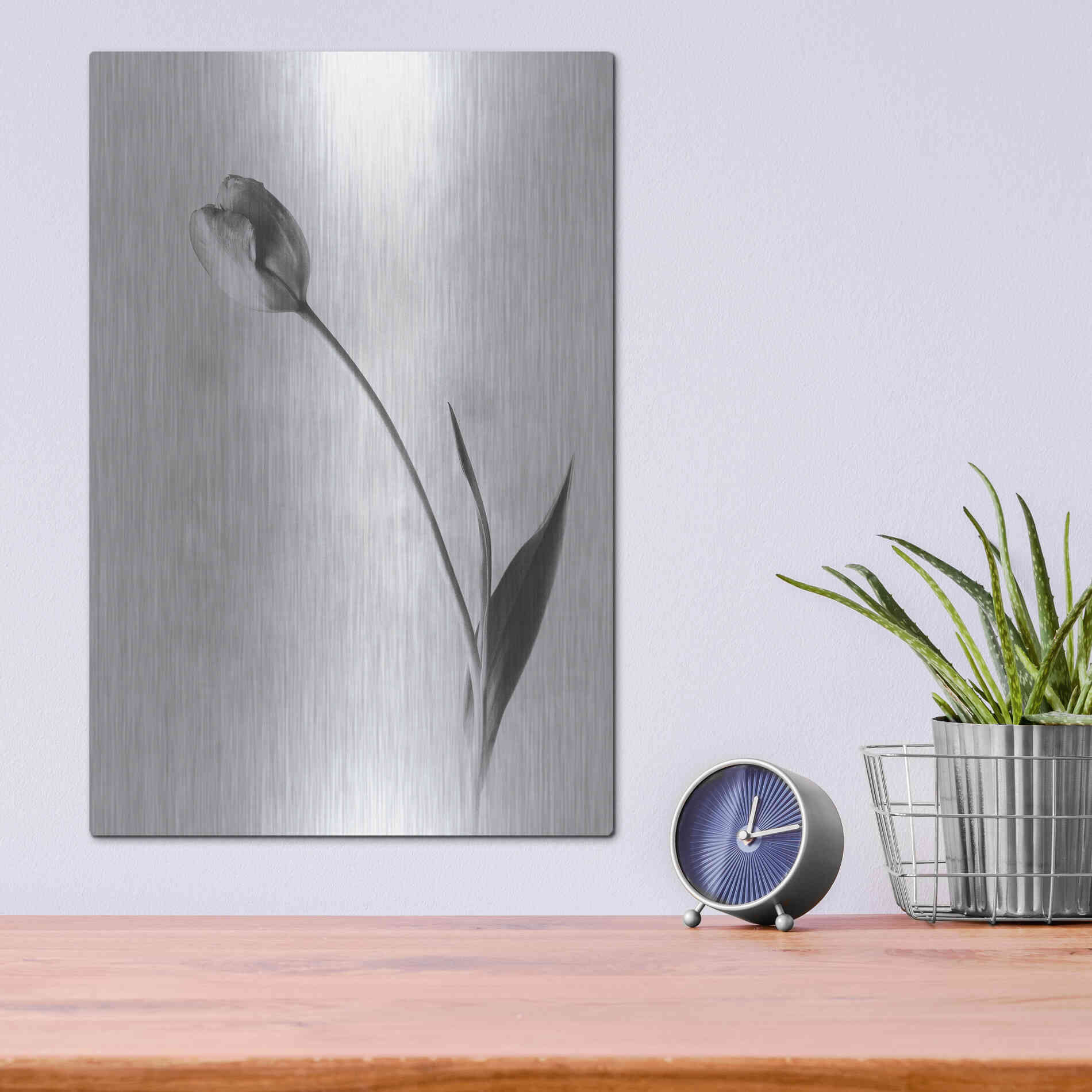 Luxe Metal Art 'Soft Tulips II' by Debra Van Swearingen, Metal Wall Art,12x16