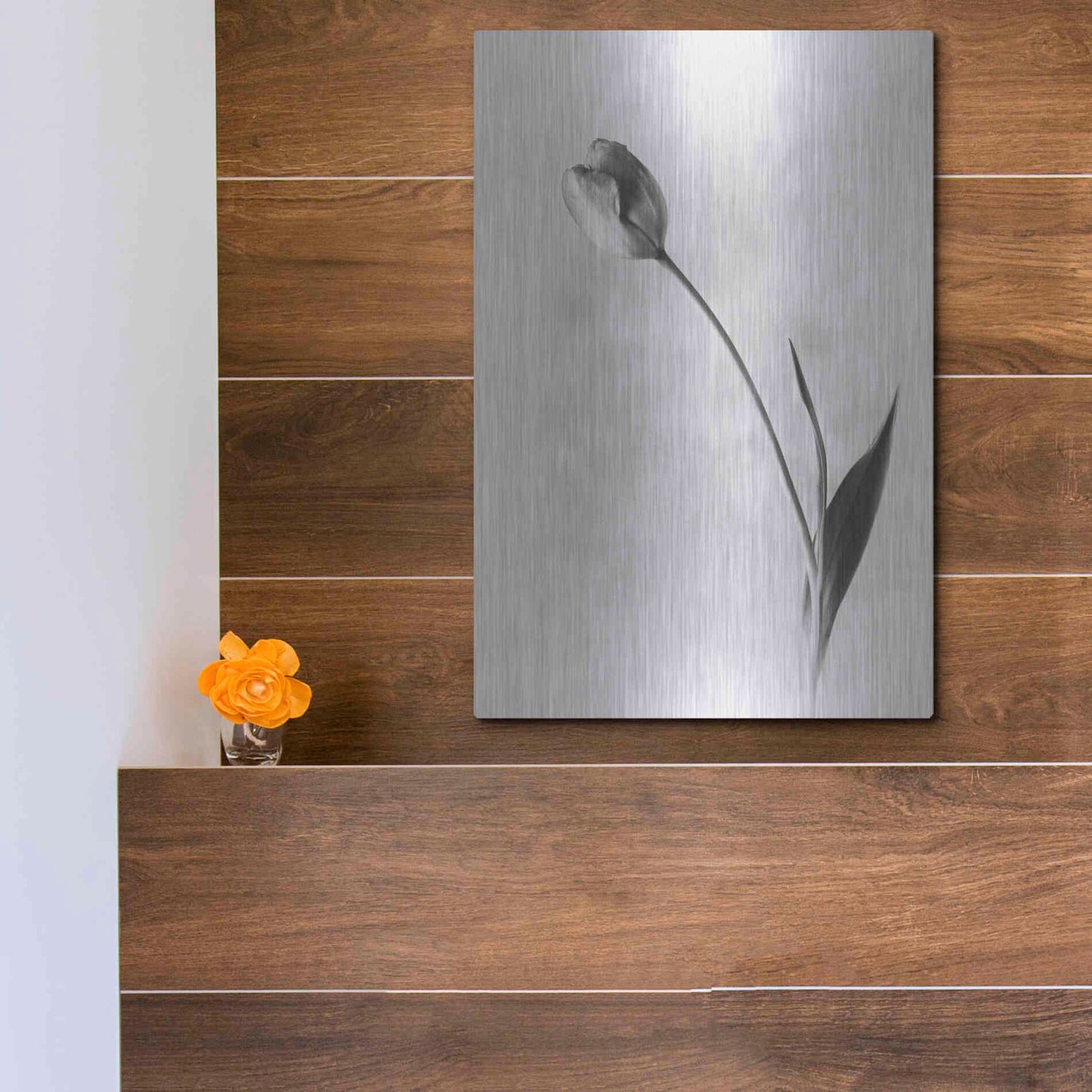 Luxe Metal Art 'Soft Tulips II' by Debra Van Swearingen, Metal Wall Art,12x16