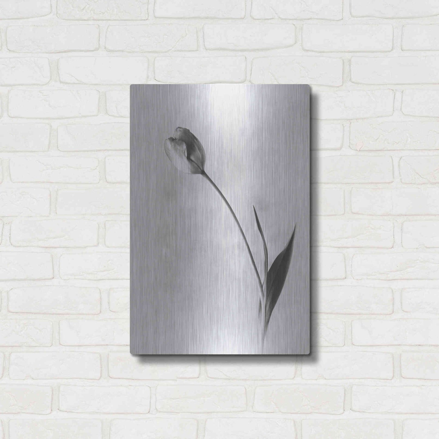 Luxe Metal Art 'Soft Tulips II' by Debra Van Swearingen, Metal Wall Art,16x24