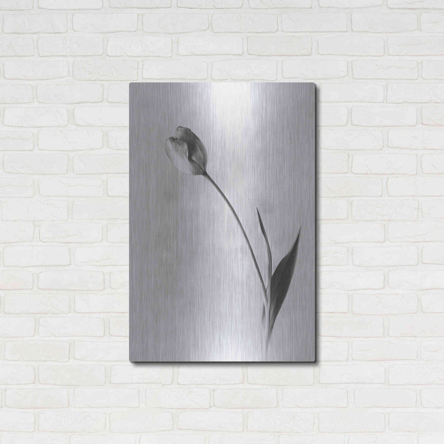 Luxe Metal Art 'Soft Tulips II' by Debra Van Swearingen, Metal Wall Art,24x36
