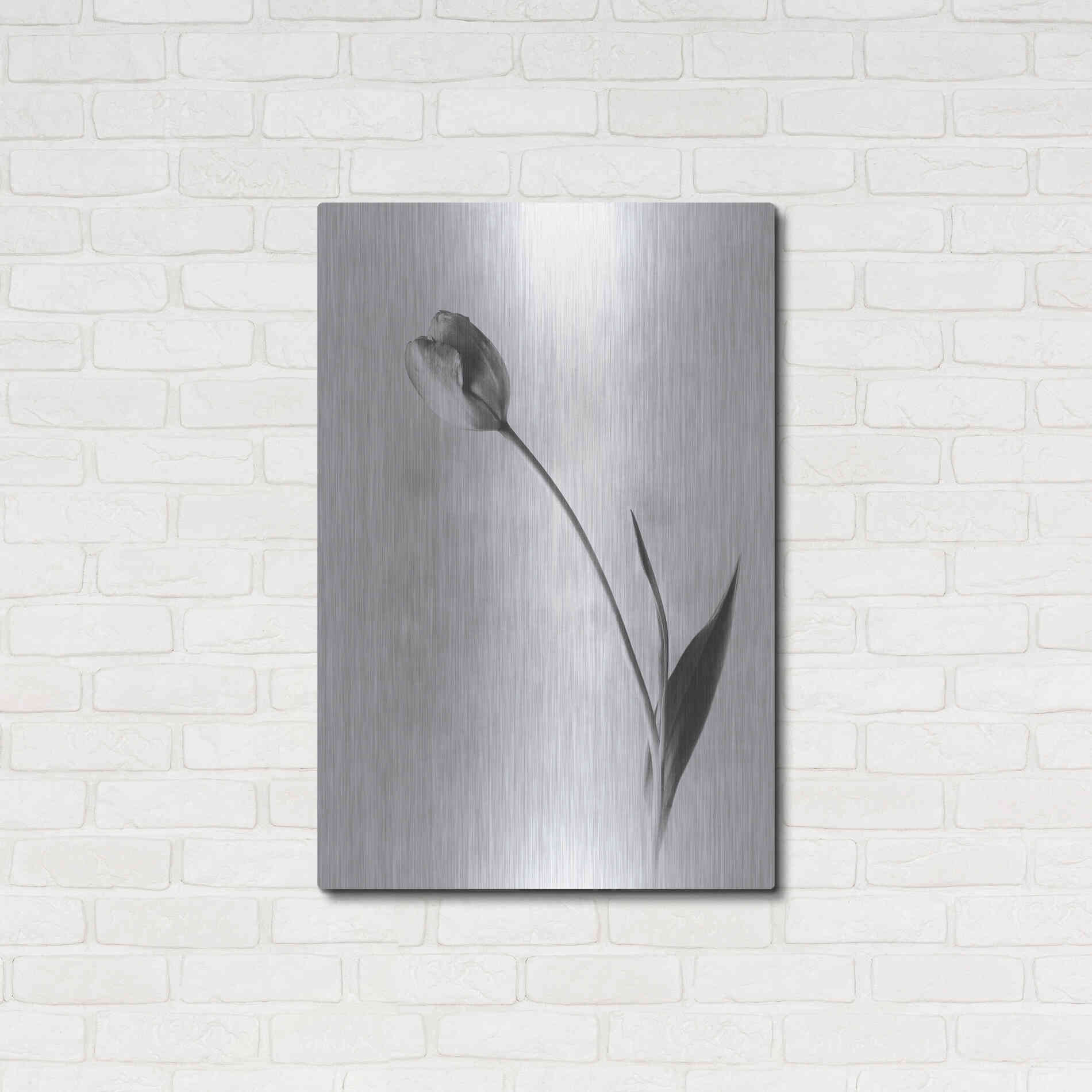 Luxe Metal Art 'Soft Tulips II' by Debra Van Swearingen, Metal Wall Art,24x36