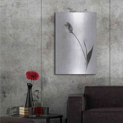 Luxe Metal Art 'Soft Tulips II' by Debra Van Swearingen, Metal Wall Art,24x36