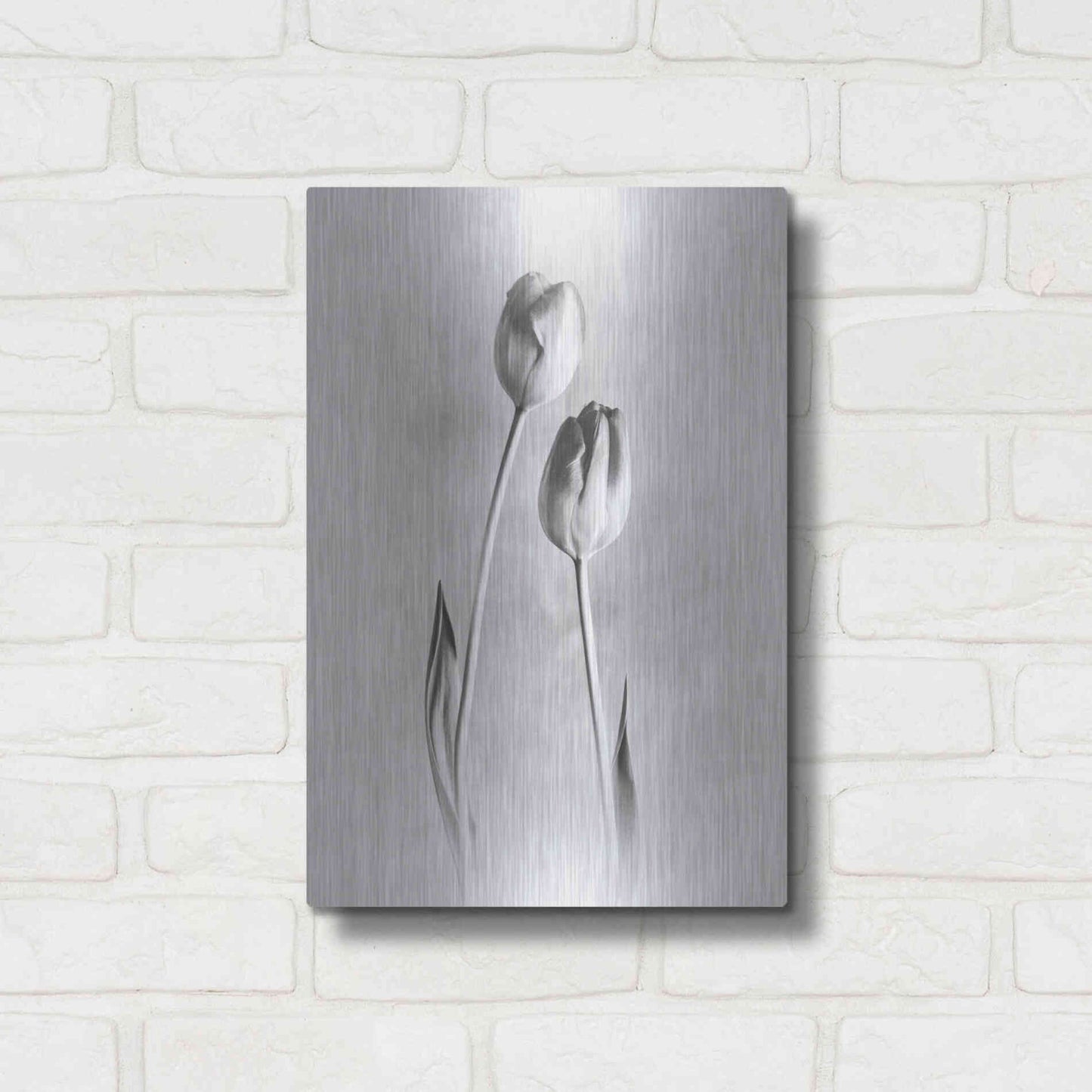 Luxe Metal Art 'Soft Tulips III' by Debra Van Swearingen, Metal Wall Art,12x16