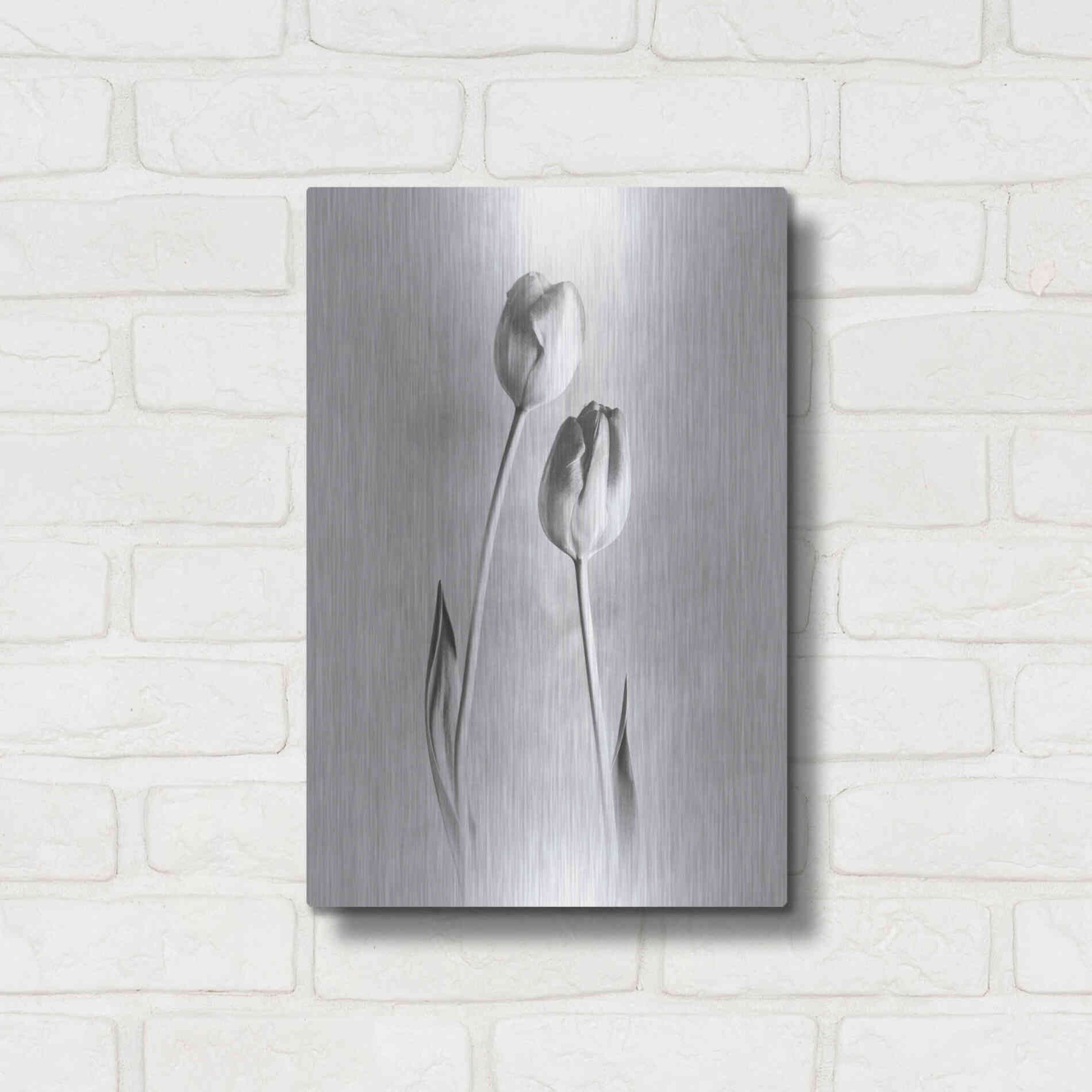 Luxe Metal Art 'Soft Tulips III' by Debra Van Swearingen, Metal Wall Art,12x16