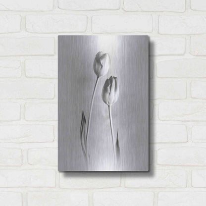 Luxe Metal Art 'Soft Tulips III' by Debra Van Swearingen, Metal Wall Art,12x16