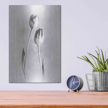 Luxe Metal Art 'Soft Tulips III' by Debra Van Swearingen, Metal Wall Art,12x16