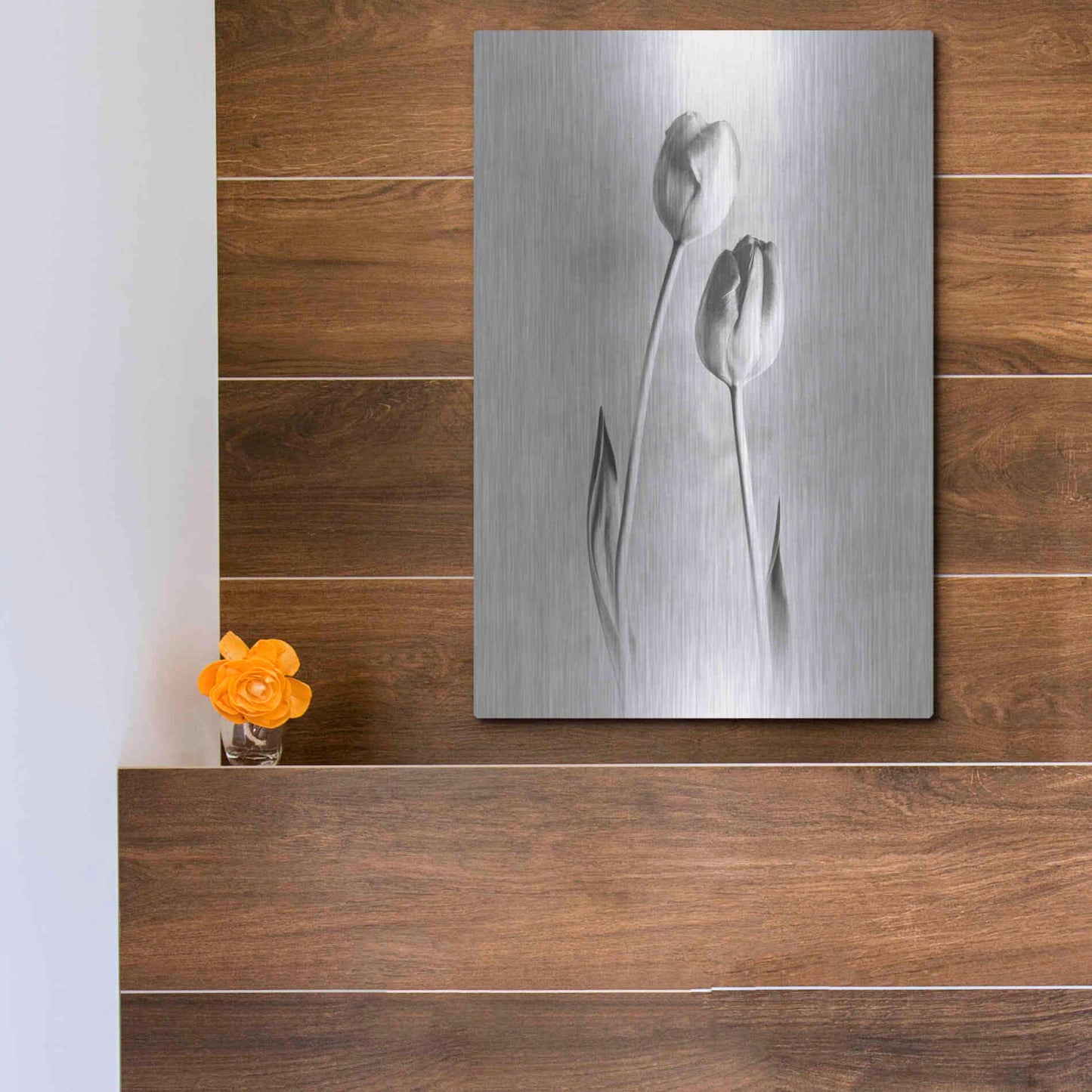 Luxe Metal Art 'Soft Tulips III' by Debra Van Swearingen, Metal Wall Art,12x16