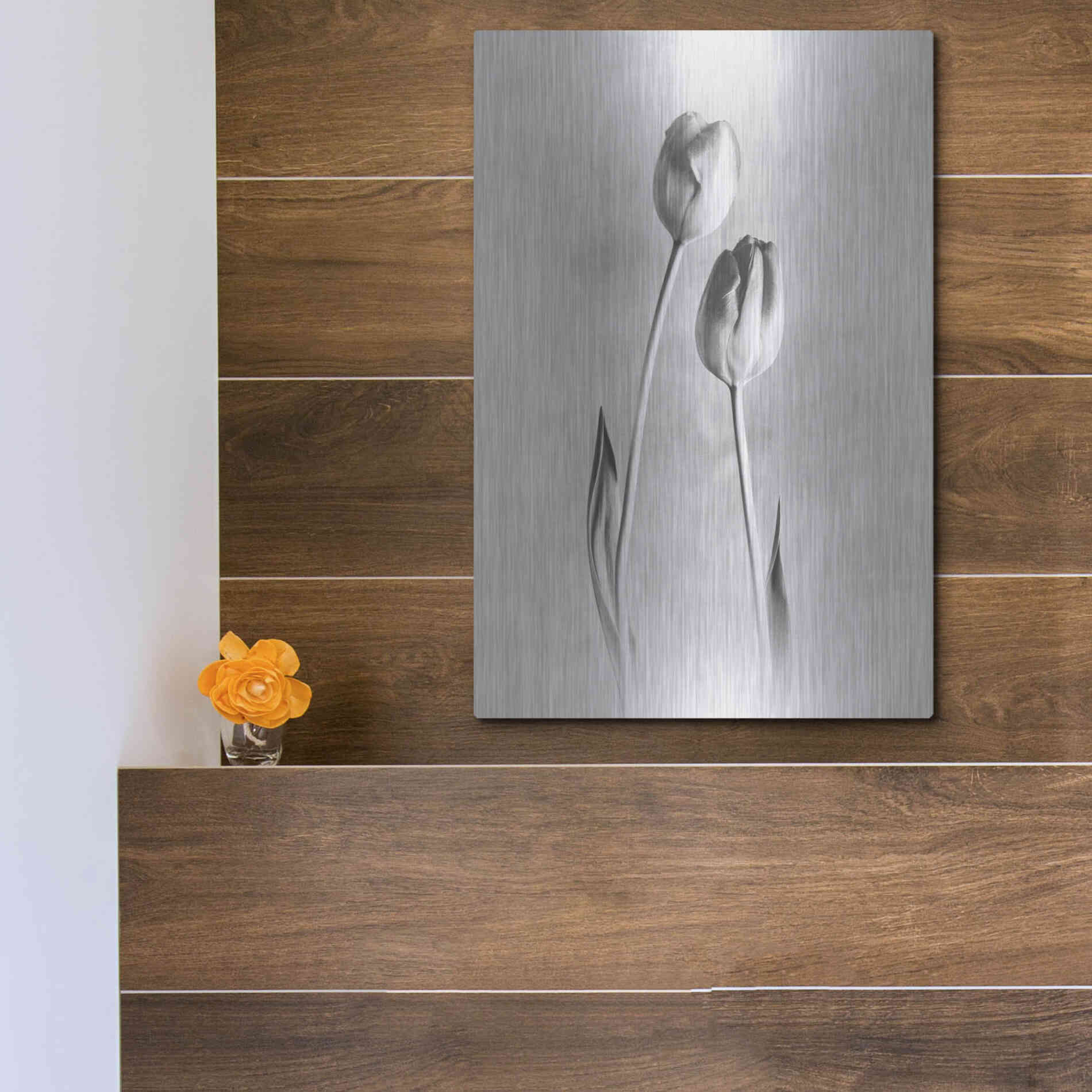 Luxe Metal Art 'Soft Tulips III' by Debra Van Swearingen, Metal Wall Art,12x16