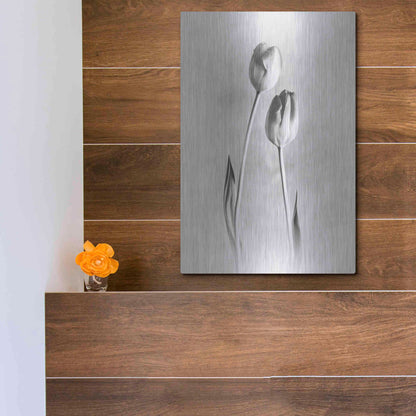 Luxe Metal Art 'Soft Tulips III' by Debra Van Swearingen, Metal Wall Art,12x16
