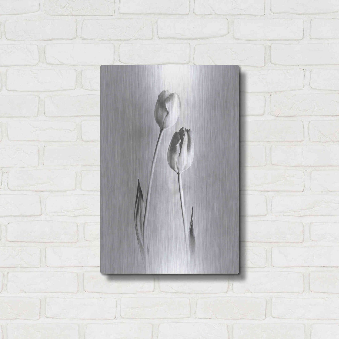 Luxe Metal Art 'Soft Tulips III' by Debra Van Swearingen, Metal Wall Art,16x24