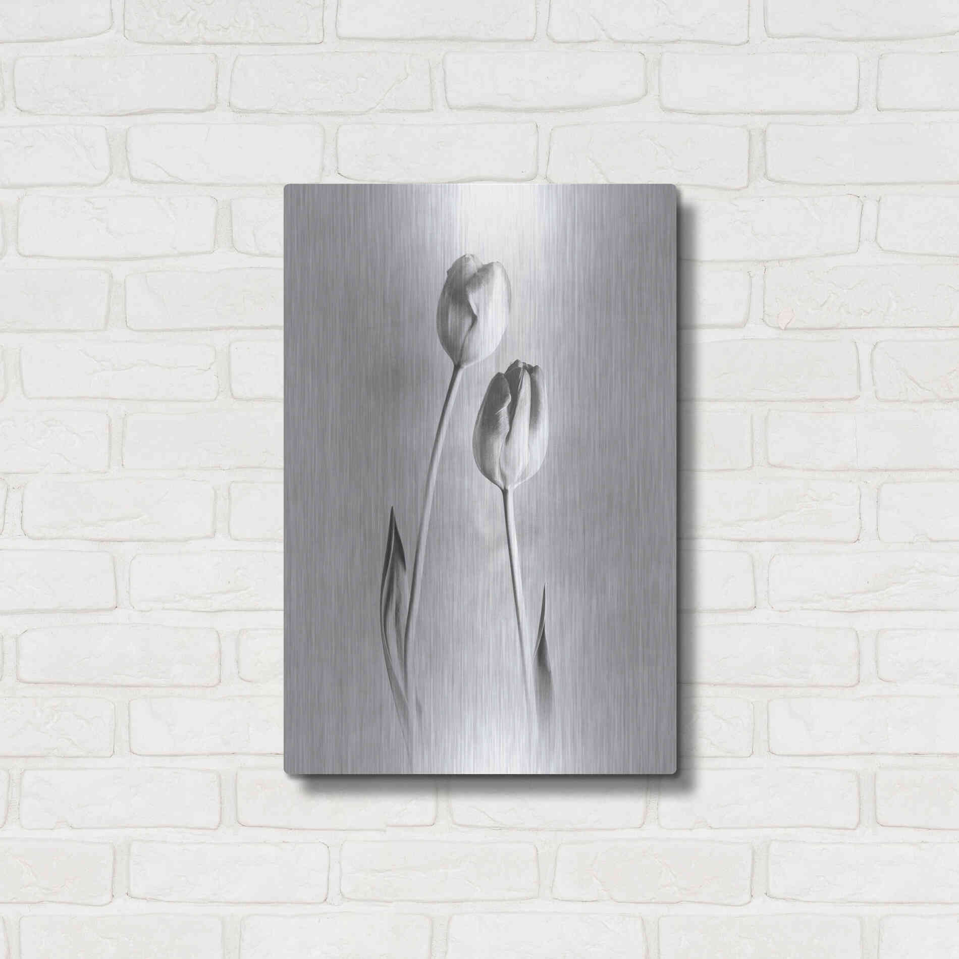 Luxe Metal Art 'Soft Tulips III' by Debra Van Swearingen, Metal Wall Art,16x24