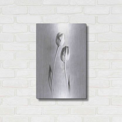 Luxe Metal Art 'Soft Tulips III' by Debra Van Swearingen, Metal Wall Art,16x24