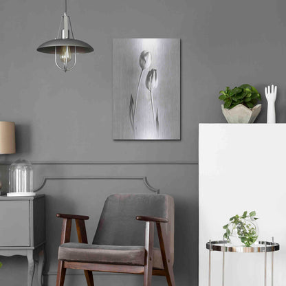 Luxe Metal Art 'Soft Tulips III' by Debra Van Swearingen, Metal Wall Art,16x24