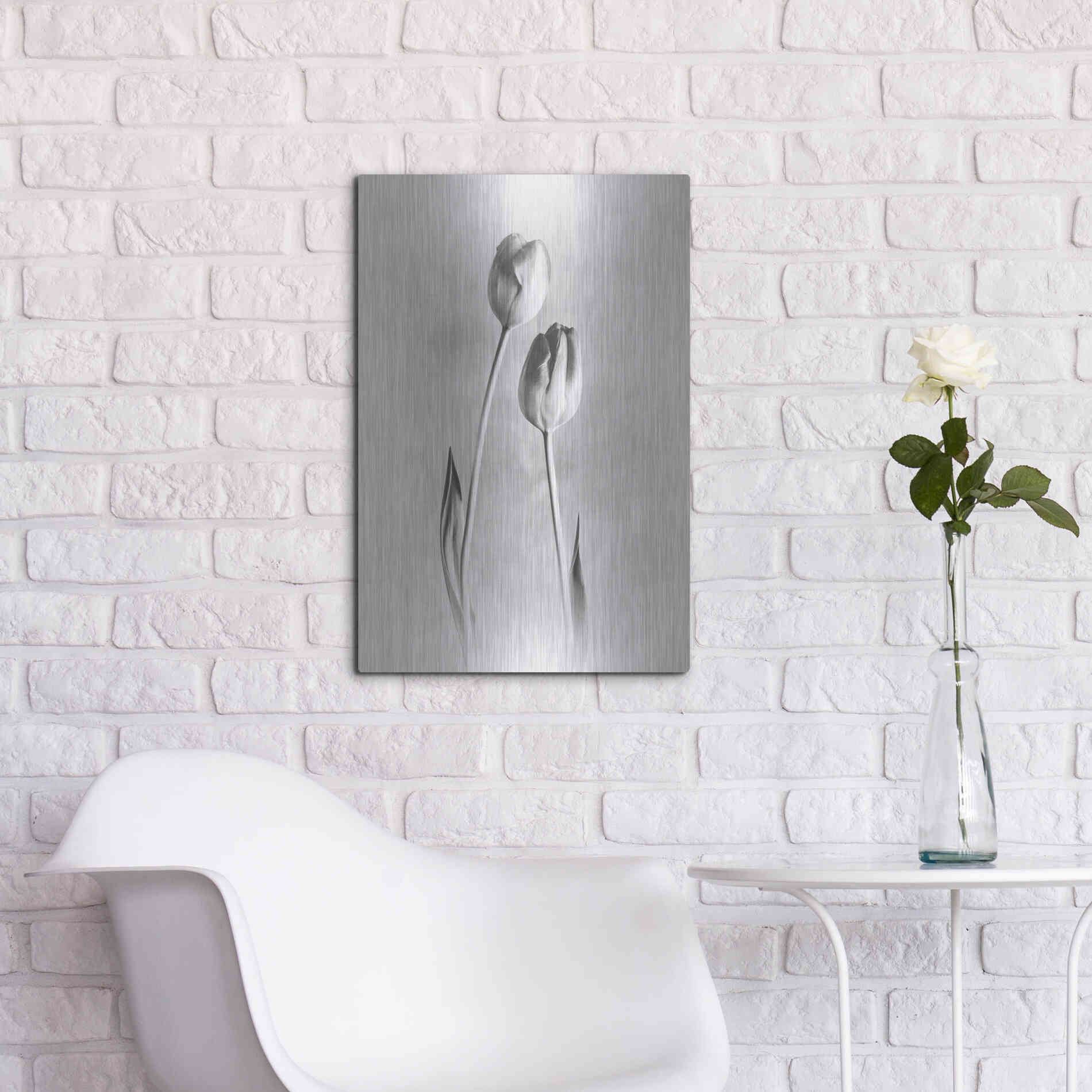 Luxe Metal Art 'Soft Tulips III' by Debra Van Swearingen, Metal Wall Art,16x24