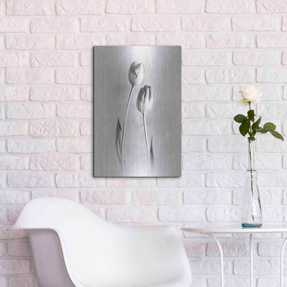 Luxe Metal Art 'Soft Tulips III' by Debra Van Swearingen, Metal Wall Art,16x24