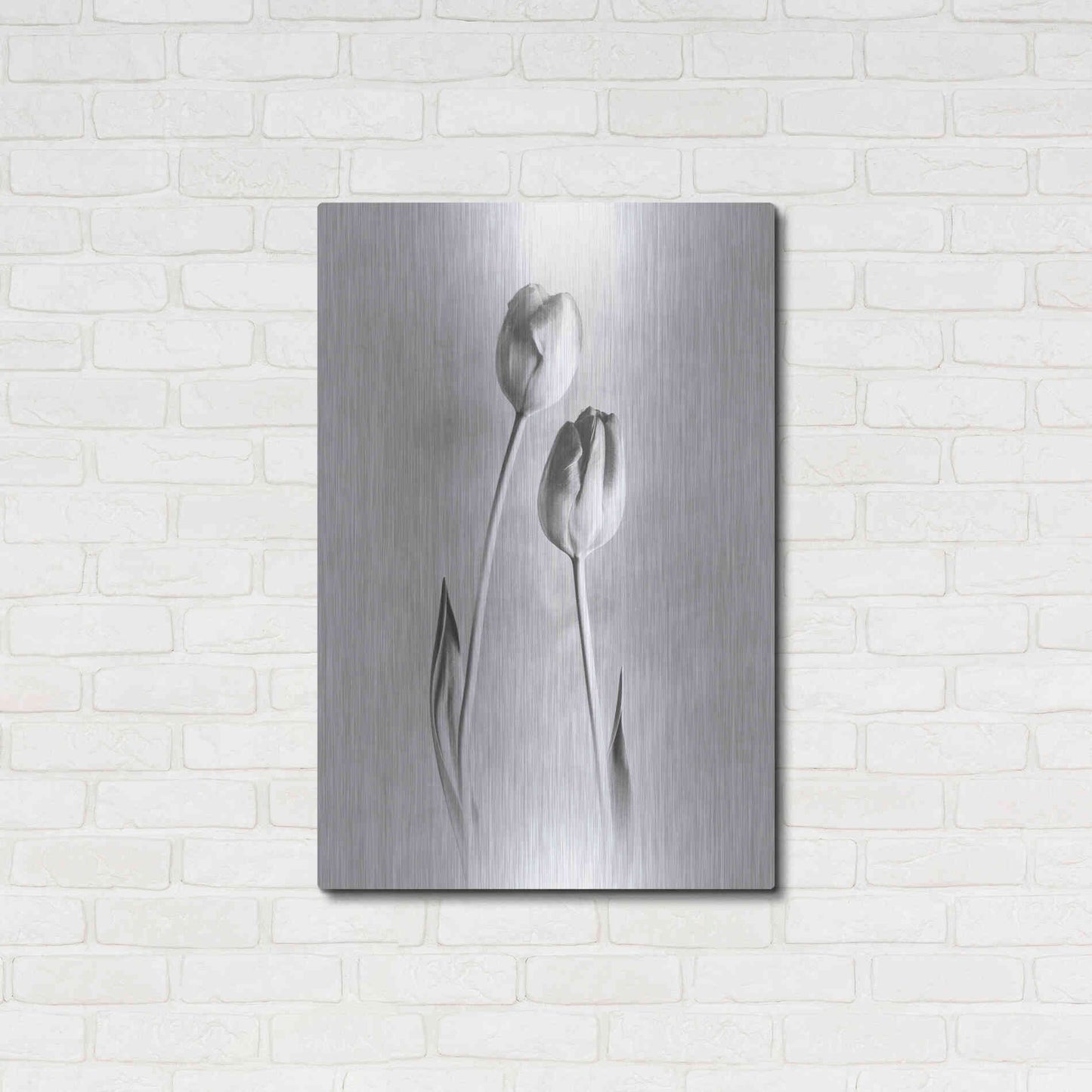 Luxe Metal Art 'Soft Tulips III' by Debra Van Swearingen, Metal Wall Art,24x36