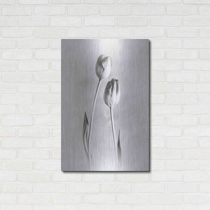 Luxe Metal Art 'Soft Tulips III' by Debra Van Swearingen, Metal Wall Art,24x36