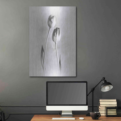 Luxe Metal Art 'Soft Tulips III' by Debra Van Swearingen, Metal Wall Art,24x36