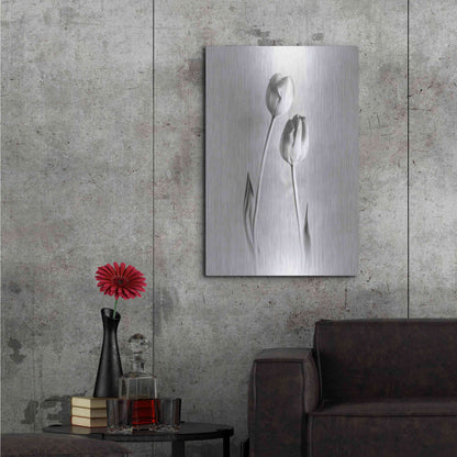 Luxe Metal Art 'Soft Tulips III' by Debra Van Swearingen, Metal Wall Art,24x36