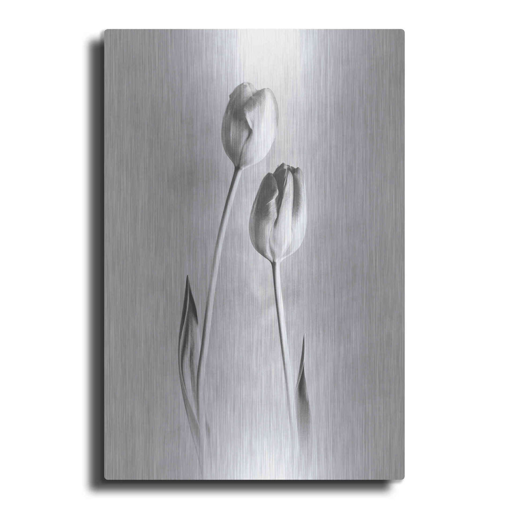 Luxe Metal Art 'Soft Tulips III' by Debra Van Swearingen, Metal Wall Art