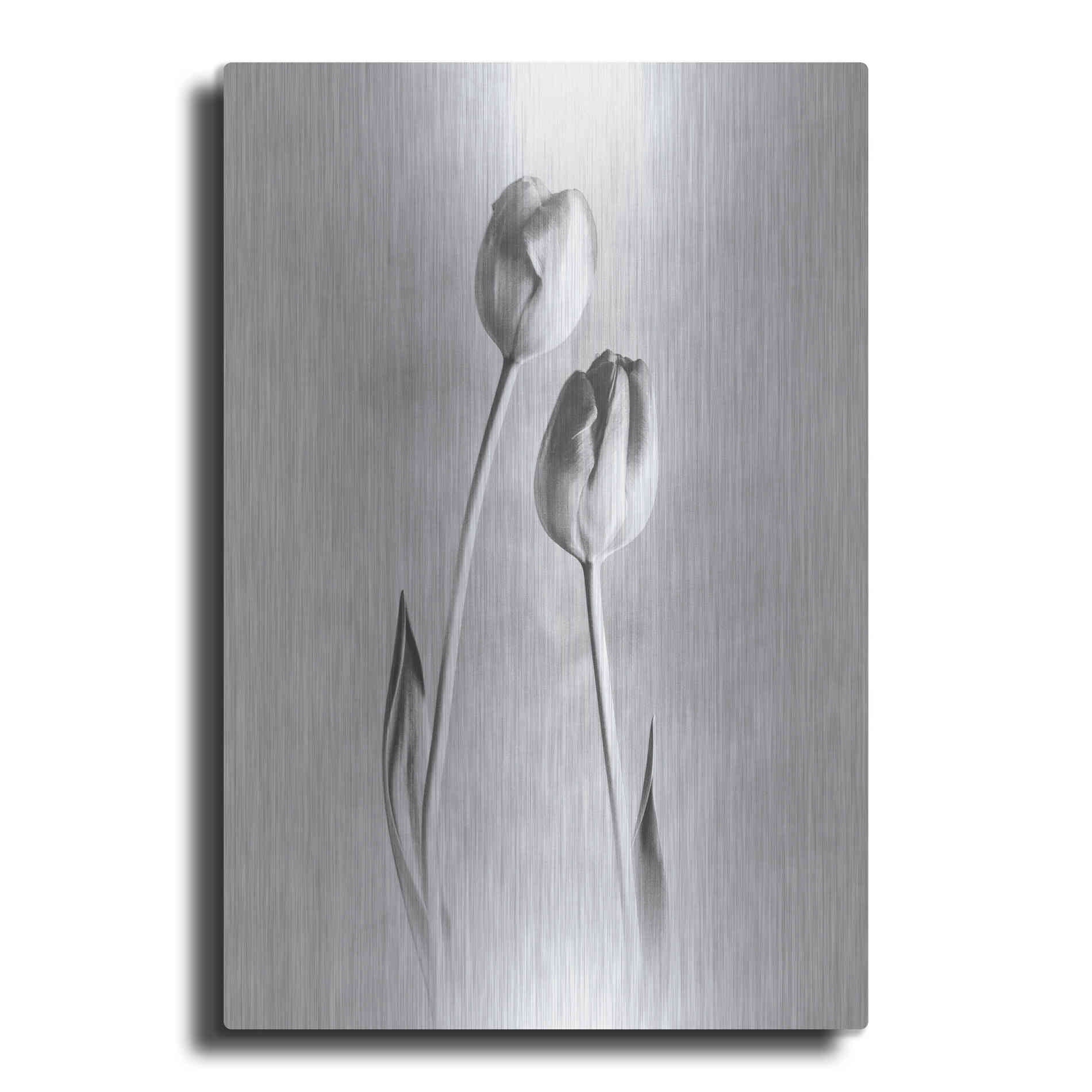 Luxe Metal Art 'Soft Tulips III' by Debra Van Swearingen, Metal Wall Art