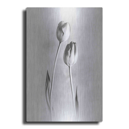 Luxe Metal Art 'Soft Tulips III' by Debra Van Swearingen, Metal Wall Art