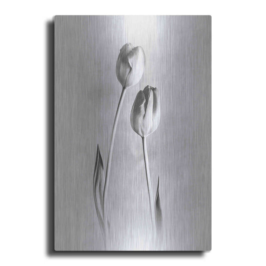 Luxe Metal Art 'Soft Tulips III' by Debra Van Swearingen, Metal Wall Art
