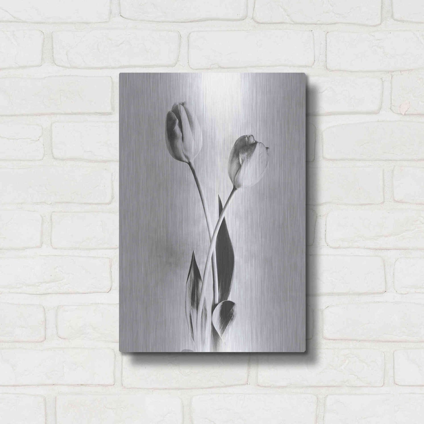 Luxe Metal Art 'Soft Tulips IV' by Debra Van Swearingen, Metal Wall Art,12x16