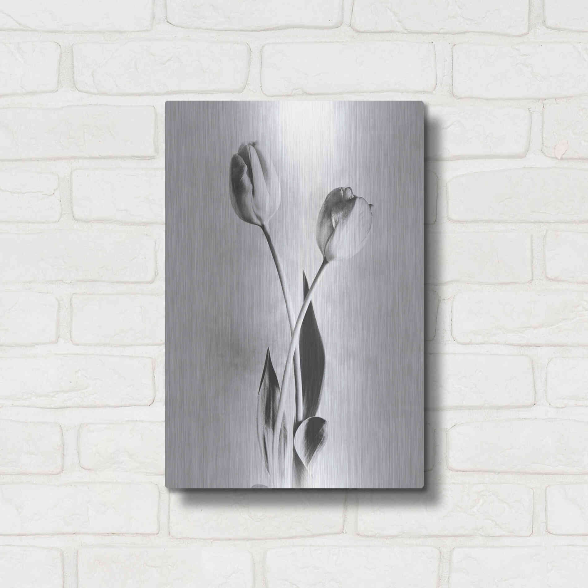 Luxe Metal Art 'Soft Tulips IV' by Debra Van Swearingen, Metal Wall Art,12x16