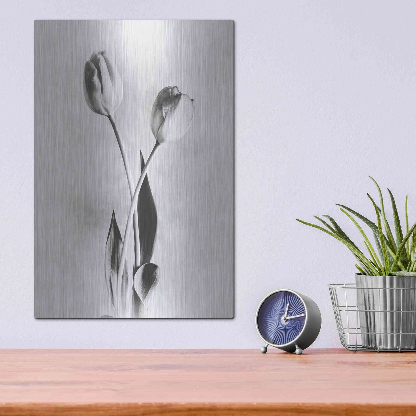 Luxe Metal Art 'Soft Tulips IV' by Debra Van Swearingen, Metal Wall Art,12x16