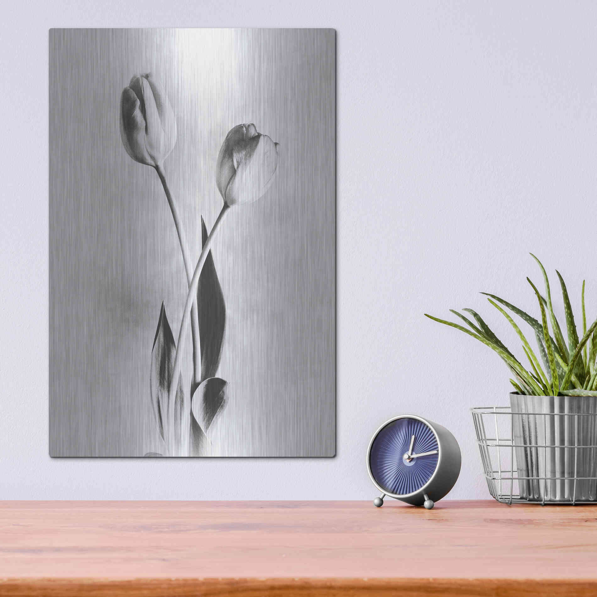 Luxe Metal Art 'Soft Tulips IV' by Debra Van Swearingen, Metal Wall Art,12x16