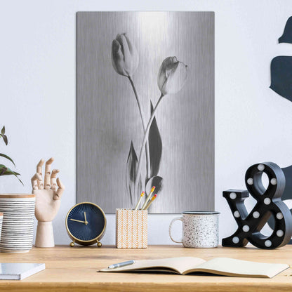Luxe Metal Art 'Soft Tulips IV' by Debra Van Swearingen, Metal Wall Art,12x16