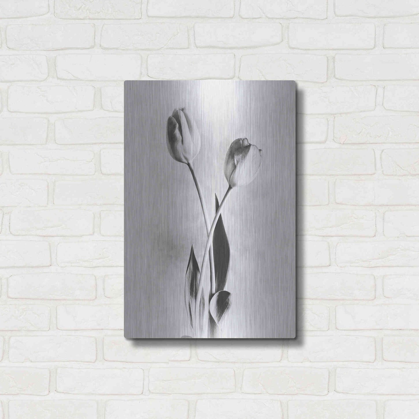 Luxe Metal Art 'Soft Tulips IV' by Debra Van Swearingen, Metal Wall Art,16x24