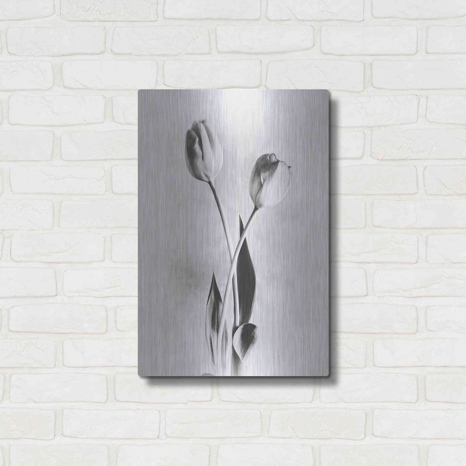 Luxe Metal Art 'Soft Tulips IV' by Debra Van Swearingen, Metal Wall Art,16x24