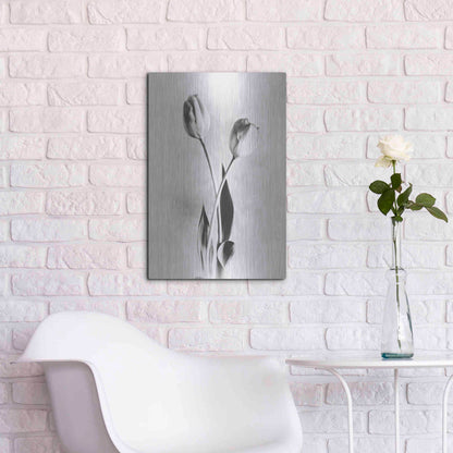 Luxe Metal Art 'Soft Tulips IV' by Debra Van Swearingen, Metal Wall Art,16x24