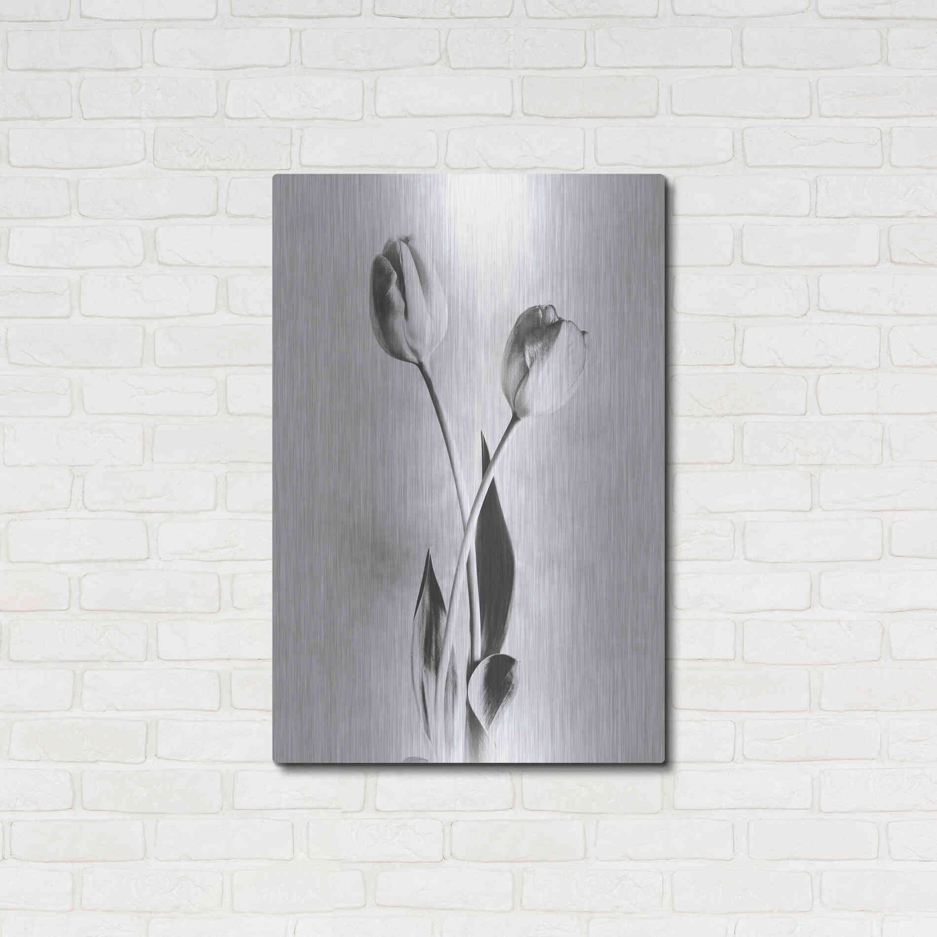 Luxe Metal Art 'Soft Tulips IV' by Debra Van Swearingen, Metal Wall Art,24x36