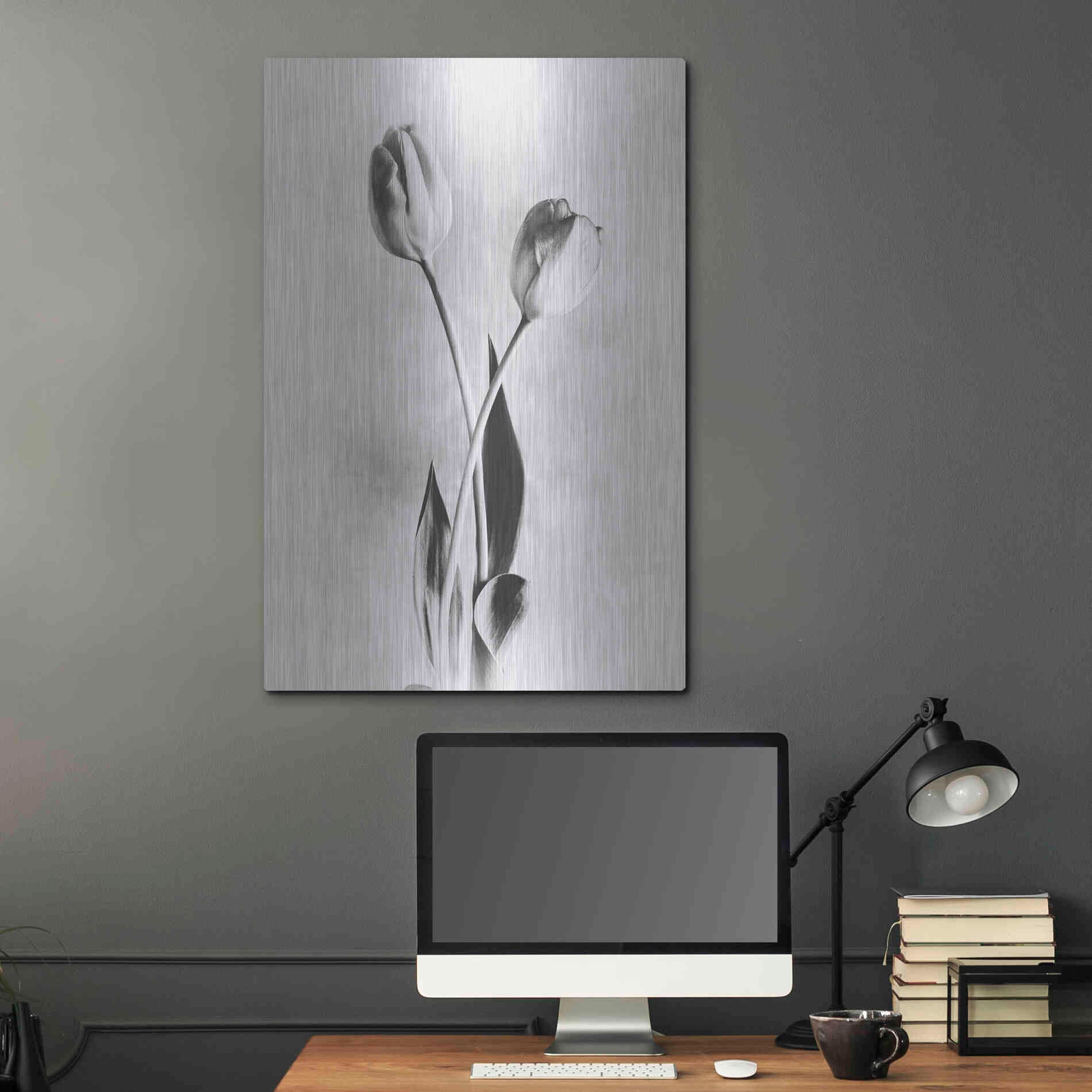 Luxe Metal Art 'Soft Tulips IV' by Debra Van Swearingen, Metal Wall Art,24x36