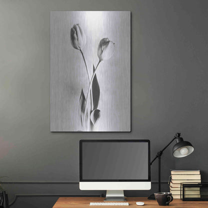Luxe Metal Art 'Soft Tulips IV' by Debra Van Swearingen, Metal Wall Art,24x36