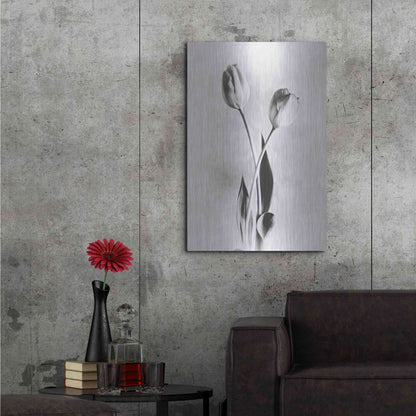 Luxe Metal Art 'Soft Tulips IV' by Debra Van Swearingen, Metal Wall Art,24x36