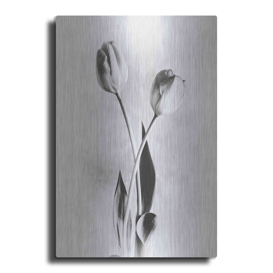 Luxe Metal Art 'Soft Tulips IV' by Debra Van Swearingen, Metal Wall Art