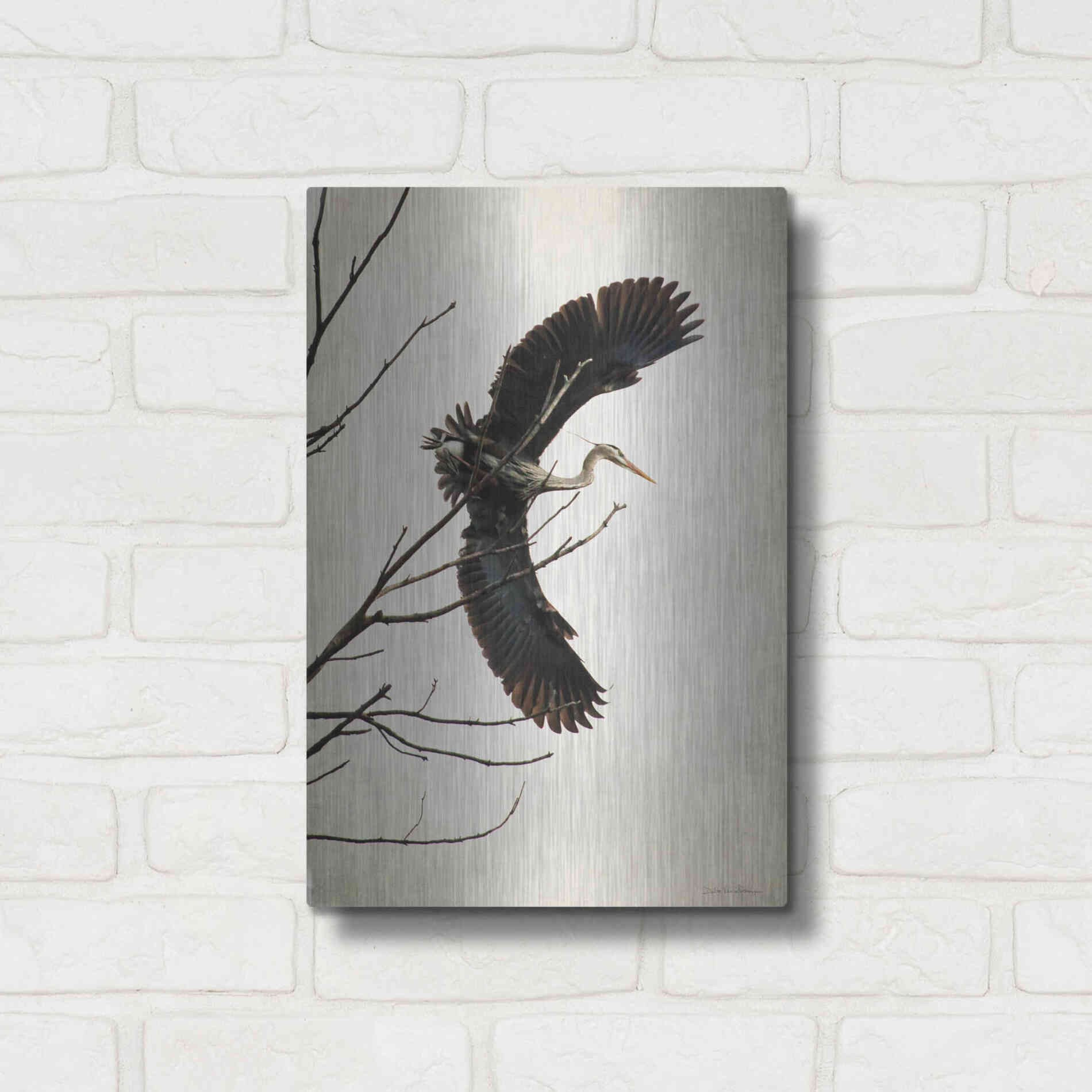 Luxe Metal Art 'Grace' by Debra Van Swearingen, Metal Wall Art,12x16