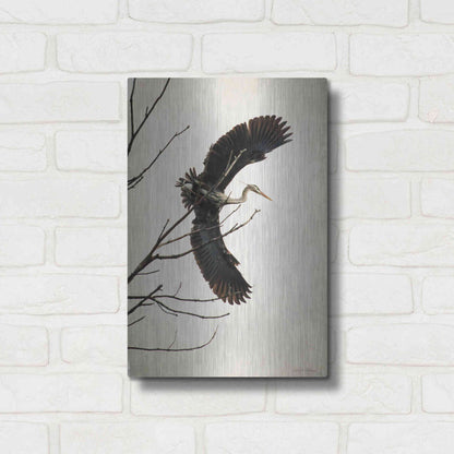Luxe Metal Art 'Grace' by Debra Van Swearingen, Metal Wall Art,12x16