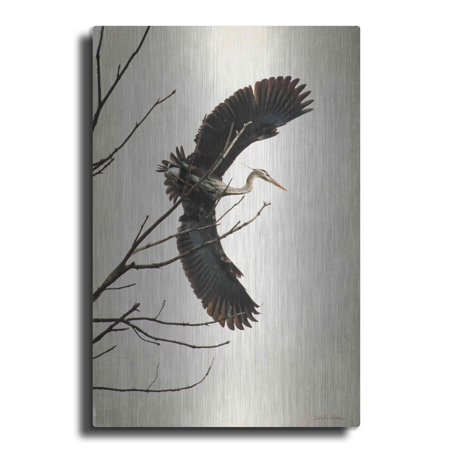 Luxe Metal Art 'Grace' by Debra Van Swearingen, Metal Wall Art