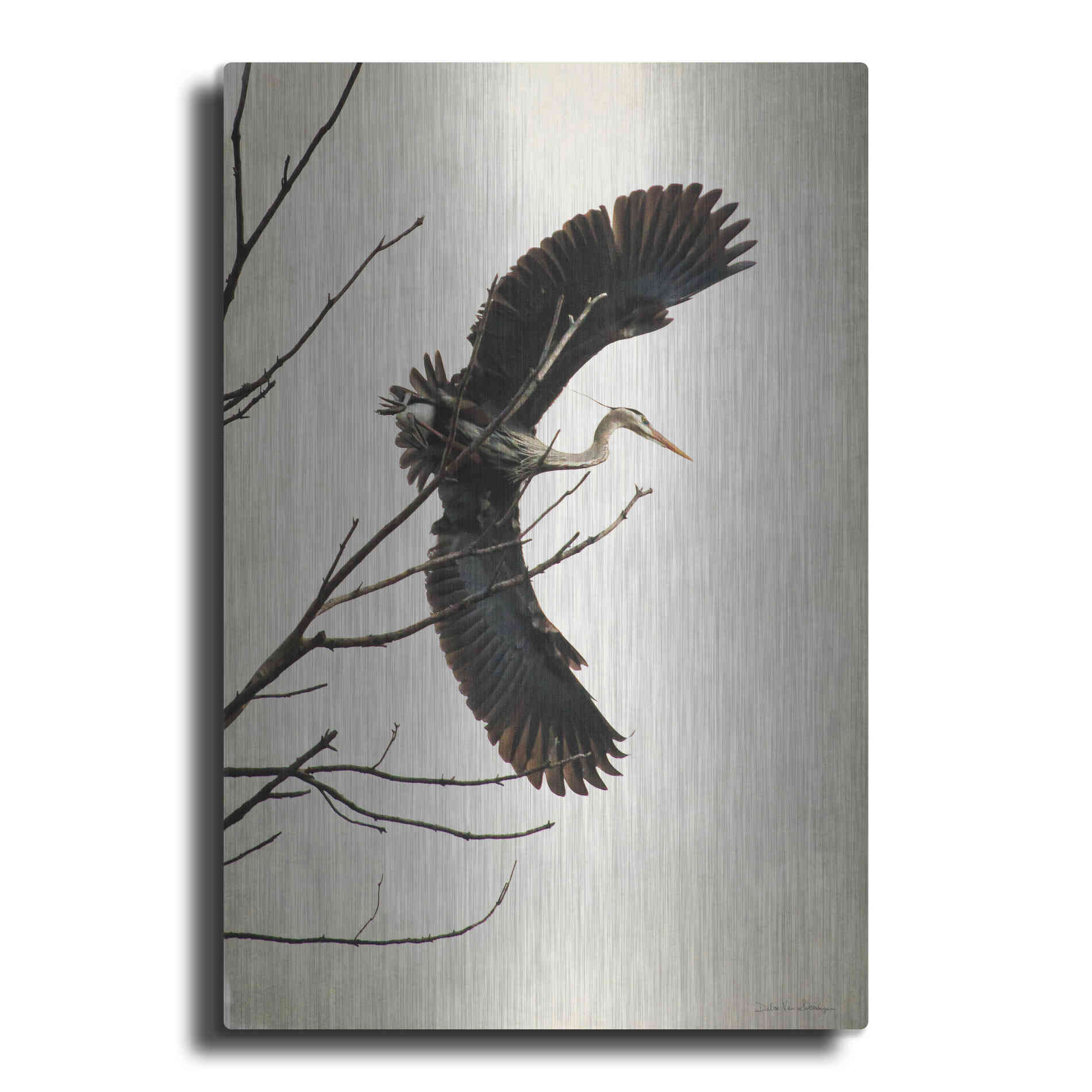 Luxe Metal Art 'Grace' by Debra Van Swearingen, Metal Wall Art