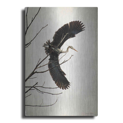 Luxe Metal Art 'Grace' by Debra Van Swearingen, Metal Wall Art