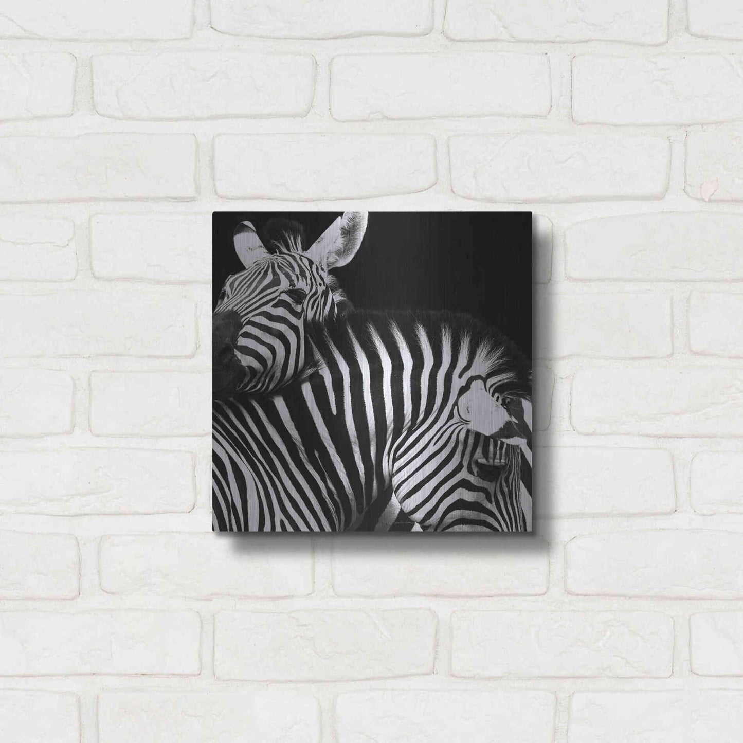 Luxe Metal Art 'Zebra VI' by Debra Van Swearingen, Metal Wall Art,12x12