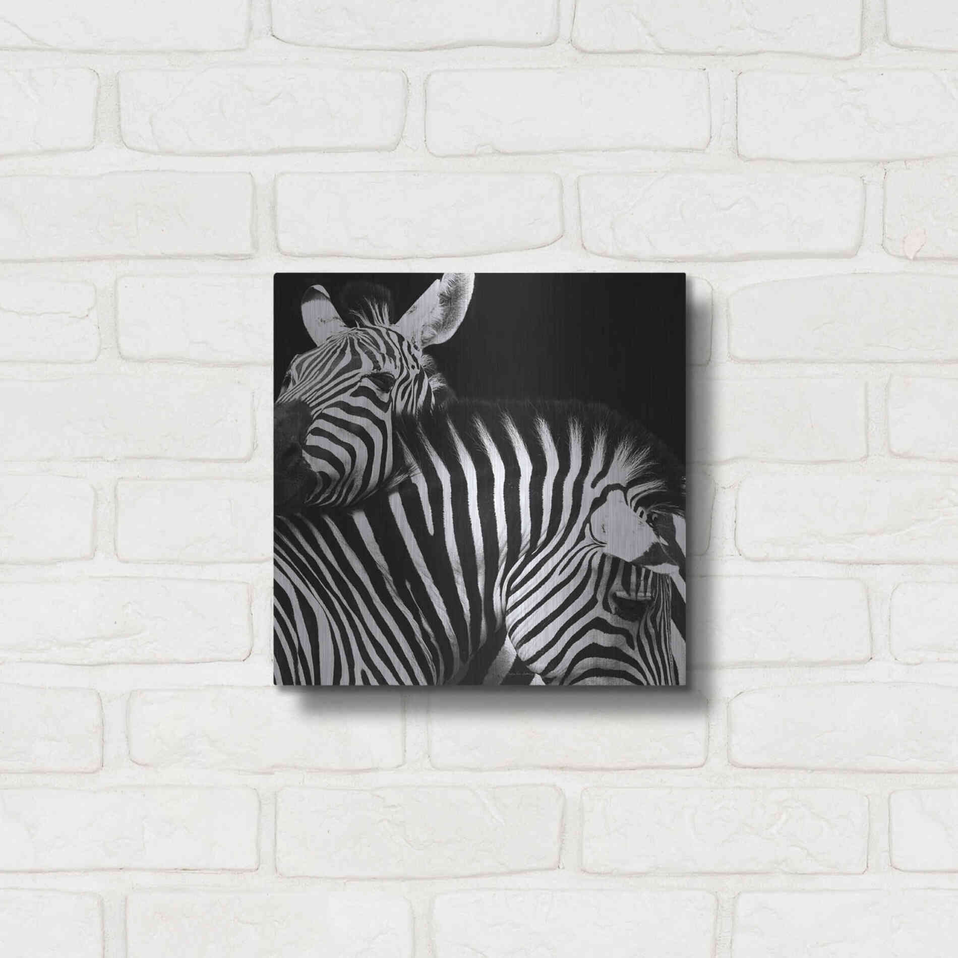 Luxe Metal Art 'Zebra VI' by Debra Van Swearingen, Metal Wall Art,12x12
